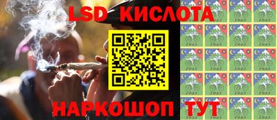спиды Кимры