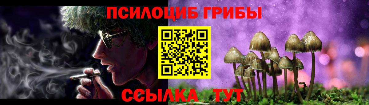 Кизляр  Галлюциногенные грибы мухоморы  Вход с VPN  Псилоцибиновые грибы Psilocybe 